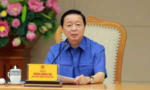 Khởi công cầu Phong Châu mới tháng 12